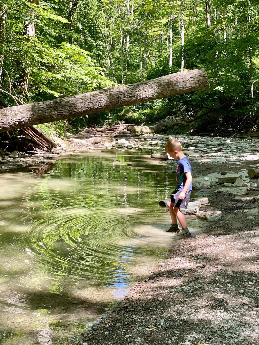 Young boy makes ripples in creek water